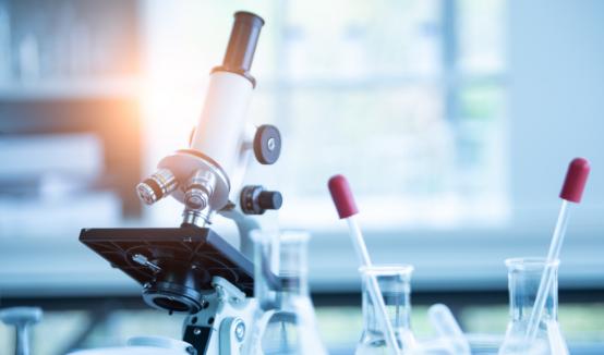 2025年中國試劑行業：國產替代加速下的全球新勢力崛起