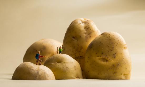 馬鈴薯行業現狀與發展趨勢深度分析